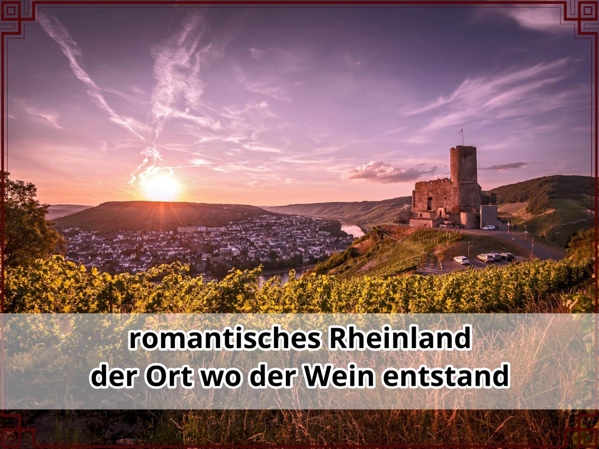 Smallsaigon Apartment Mit Guter Anbindung Zwischen Mosel Und Rhein Leiningen ภายนอก รูปภาพ
